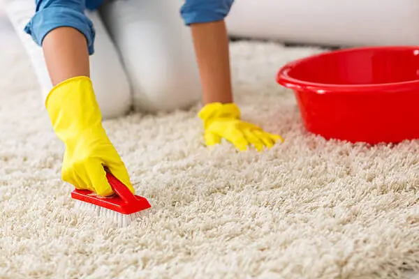 Professional house cleaning company in Mascotte, FL